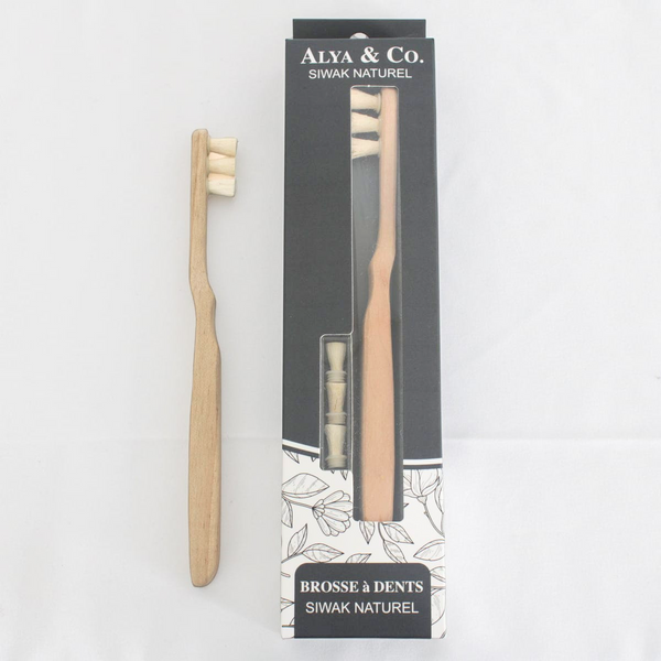 Brosse à dents, avec têtes-recharges Siwak Bio et 100% naturel, à visser