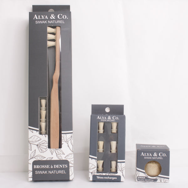 Pack brosse à dents avec têtes-recharges Siwak Bio et 100% naturel, à visser